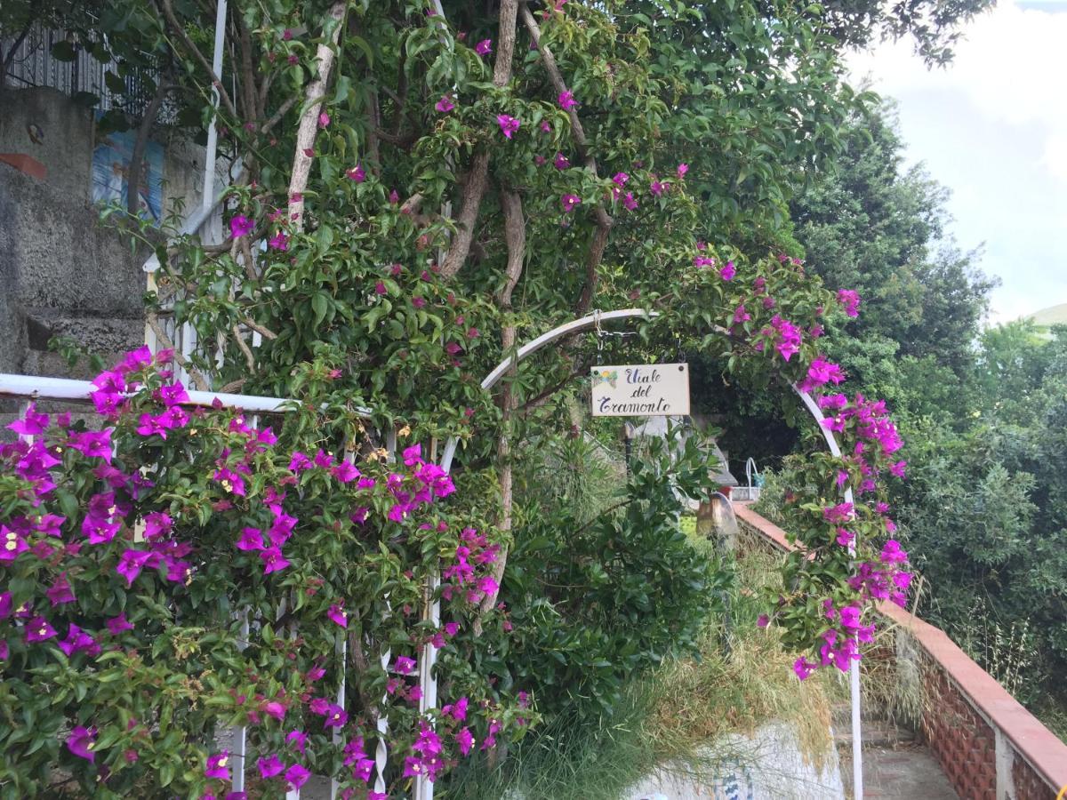 Villa Fuenti Bay -Amalfi Coast- Cetara Zewnętrze zdjęcie